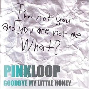 Pinkloop - 2003 - Goodbye My Little Honey