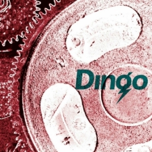 Dingo - 2017 - Dingo